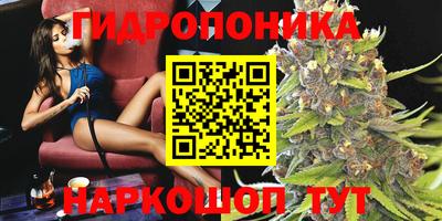 гашишное масло Аргун