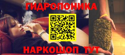 ECSTASY Гатчина